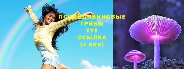 дмт Ельня