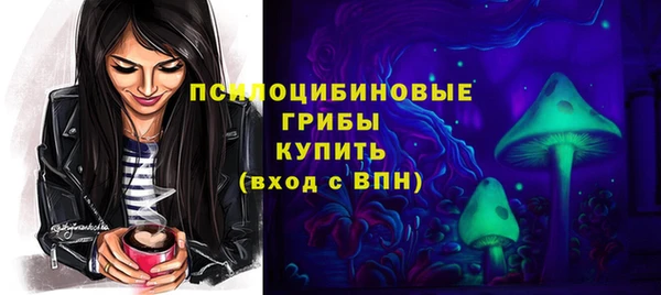 2c-b Абдулино