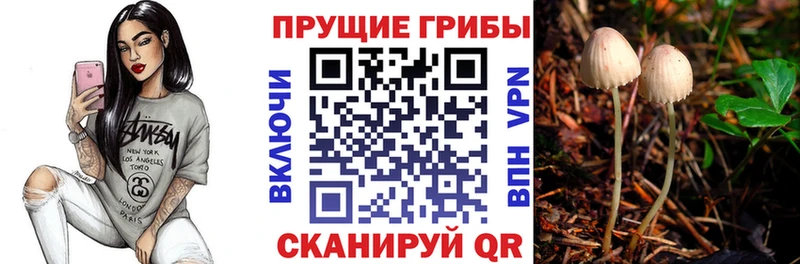 Псилоцибиновые грибы Psilocybe  Орск 