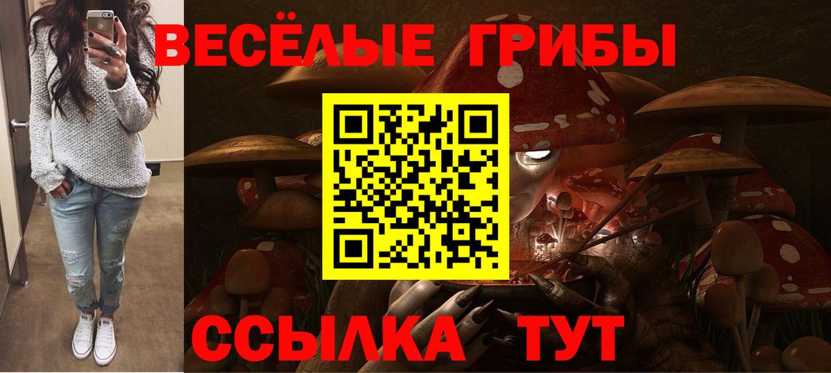 Галлюциногенные грибы Psilocybe Орск